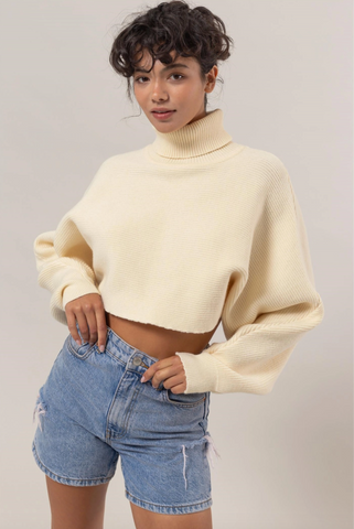 Tammy Turtleneck Crop Sweater Top